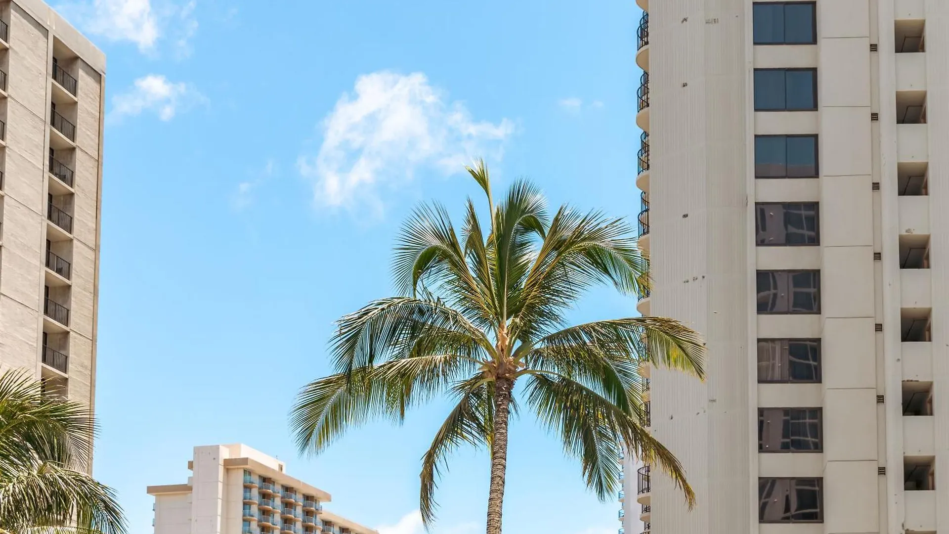 Ocean View Delight, Walk To Beach With Free Parking Honolulu