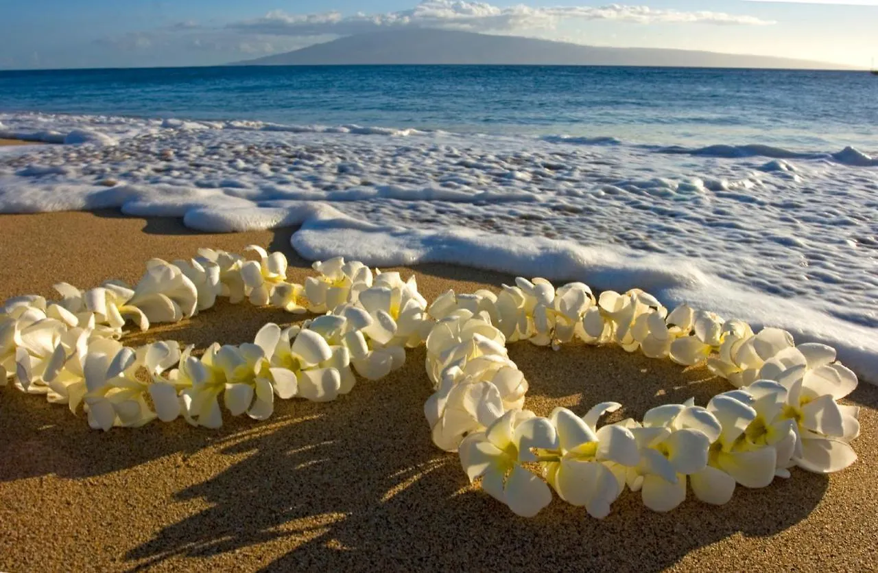 Apartment Ocean View Delight, Walk To Beach With Free Parking Honolulu