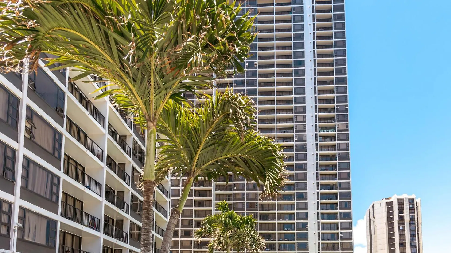Ocean View Delight, Walk To Beach With Free Parking Χονολουλού